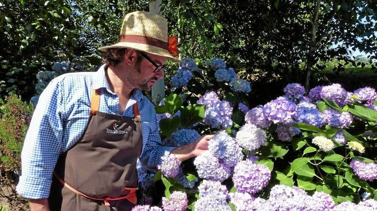 Jardinière taillant un hortensia au sécateur en fin d'hiver