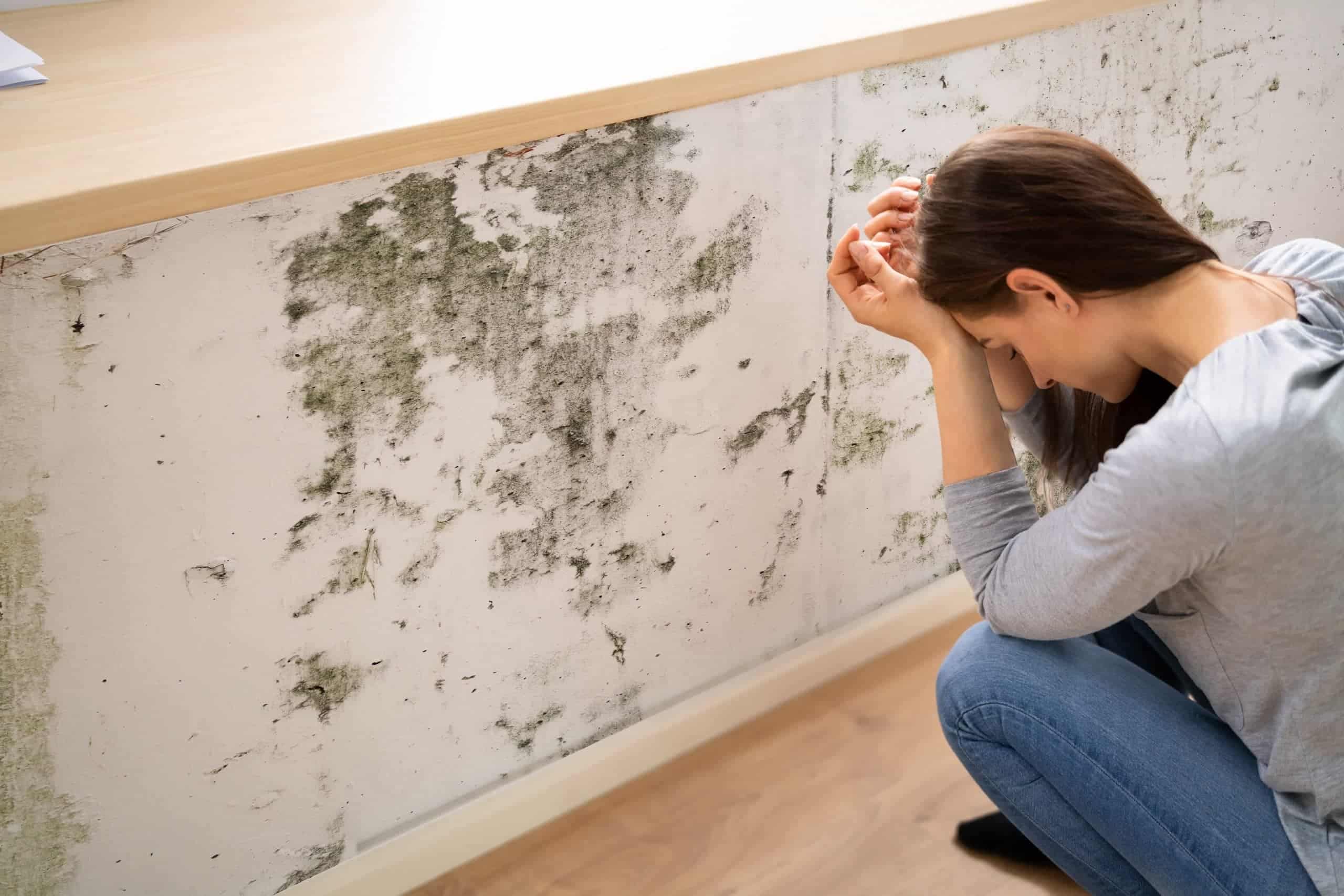Mur intérieur touché par des moisissures, source classique d'odeur d'humidité dans la maison