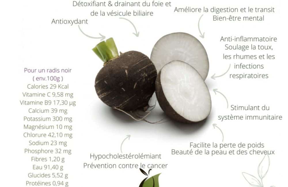 bienfaits radis noir pour la santé digestion système immunitaire perte poids prévention cancer détoxifiant drainant foie vésicule biliaire