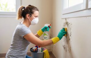 Moisissure mur : Comment éliminer le moisi et assainir sa maison