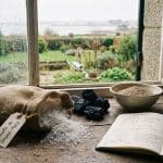 Déshumidificateur maison : Fabriquez votre absorbeur d&rsquo;humidité naturel efficace