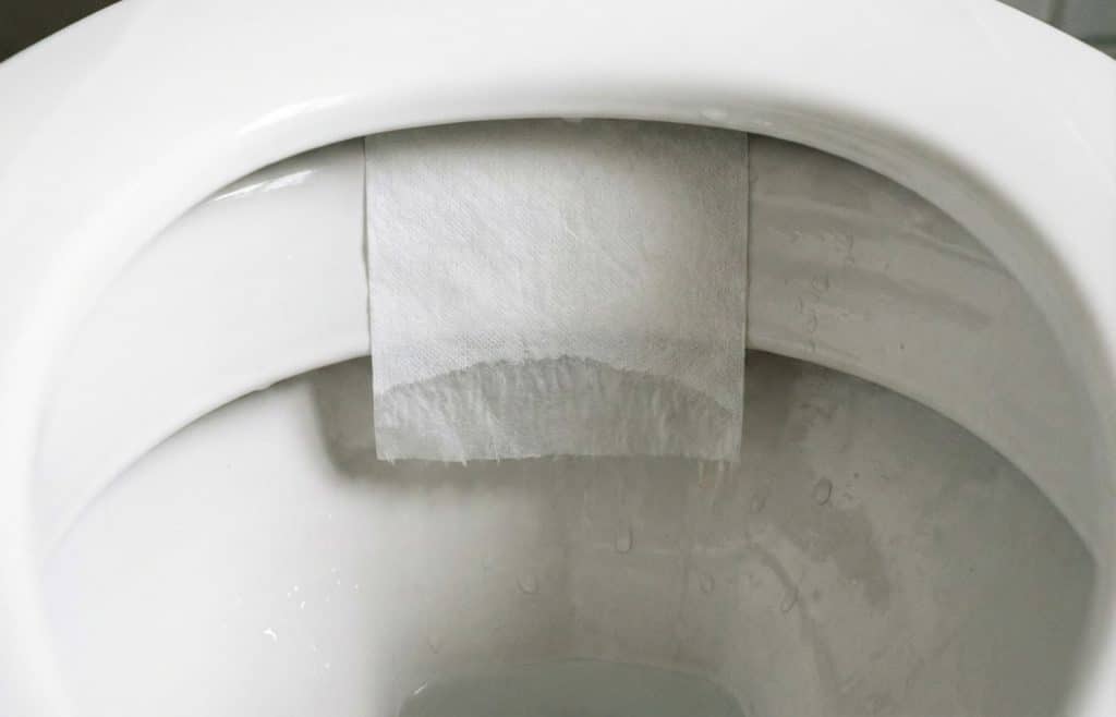 Feuille de papier toilette posée sur la paroi sèche de la cuvette des WC pour détecter une micro-fuite d'eau invisible.