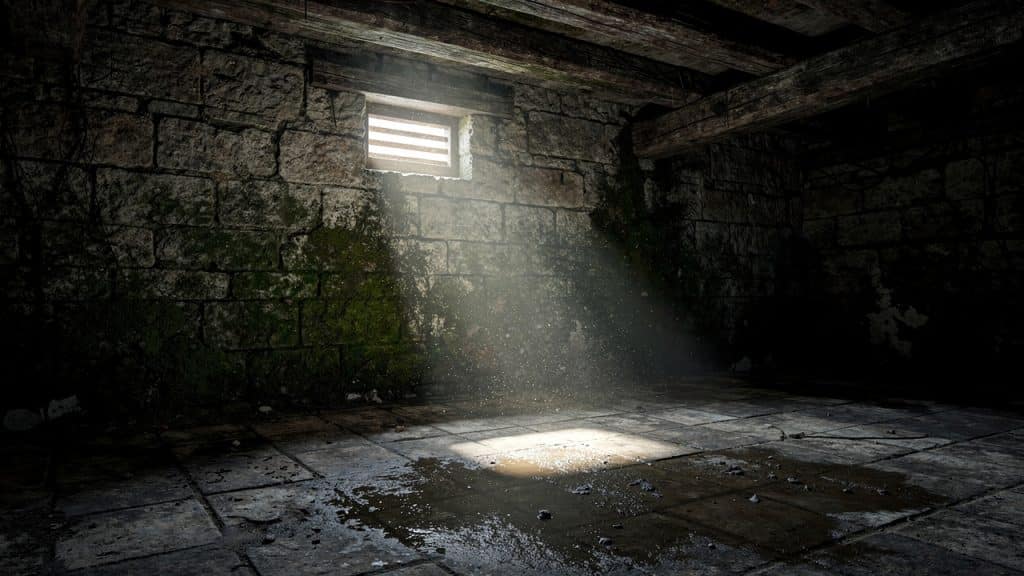 Cave humide en pierre avec soupirail : sol détrempé et murs marqués par l'humidité