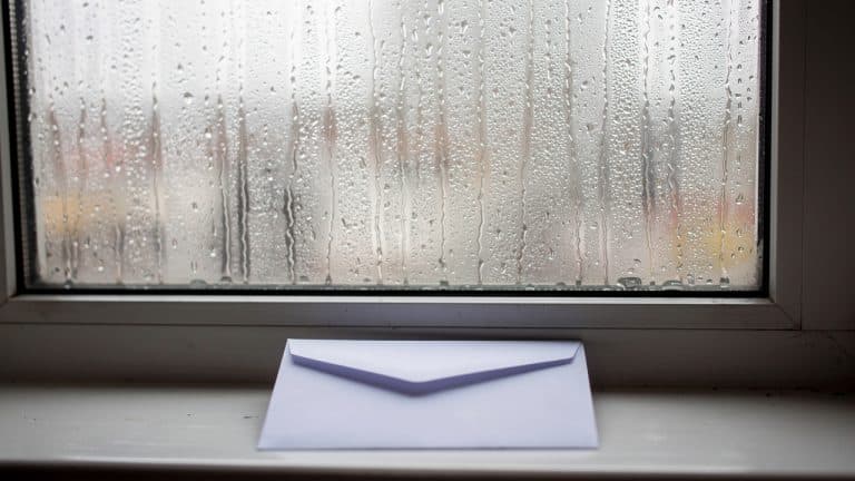 Humidité en location : qui est responsable et que faire en tant que locataire ?