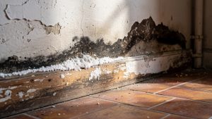 Remontées capillaires : diagnostic et traitements d&rsquo;un mur humide