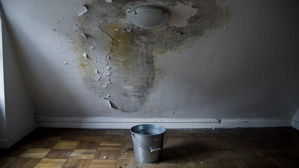 Plafond abîmé par un dégât des eaux avec peinture cloquée et seau posé sur le parquet pour recueillir la fuite