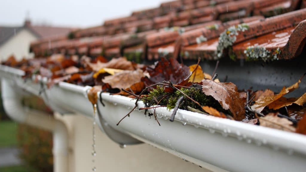 Nettoyage de gouttière : gouttière en PVC bouchée par des feuilles mortes et de la mousse sous des tuiles