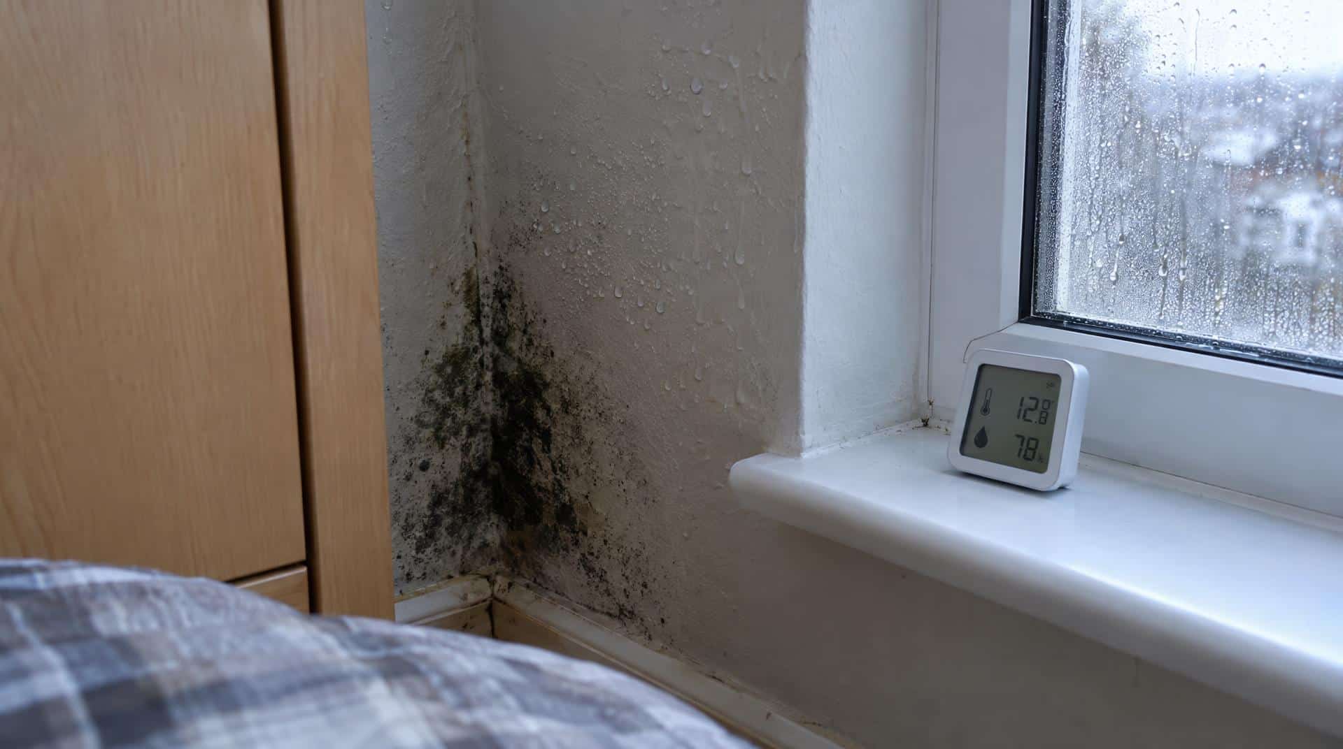 Angle de mur avec moisissure noire et condensation, hygromètre affichant 12,8 °C et 78 % d'humidité